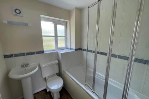badgers way 12 new b