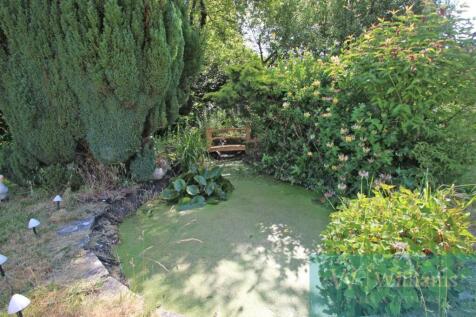 Pond
