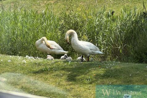 Locals