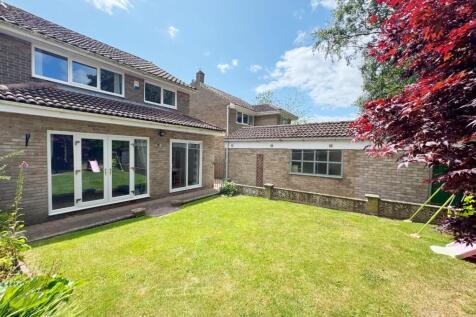 Property Image 38