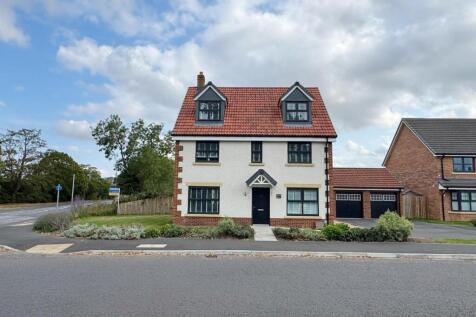 Property Image 44