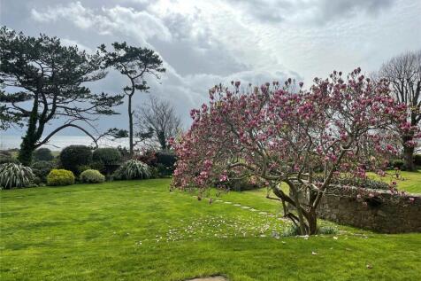 Communal Gardens