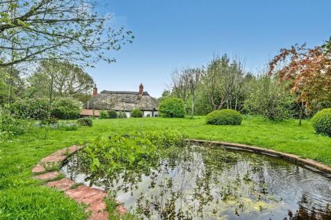 Rear Gardens