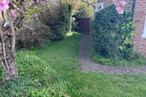 Side Garden