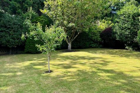 Property Image 25