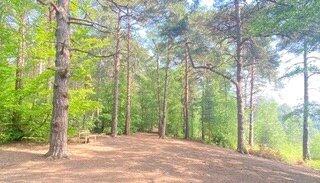 Local Walks