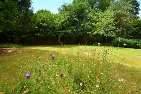Garden Meadow