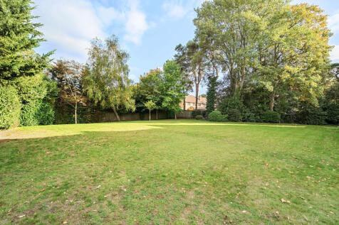 1364707-5-68e7cd4...