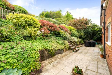 Patio Area