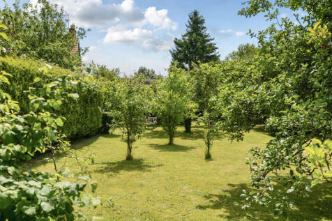 Orchard