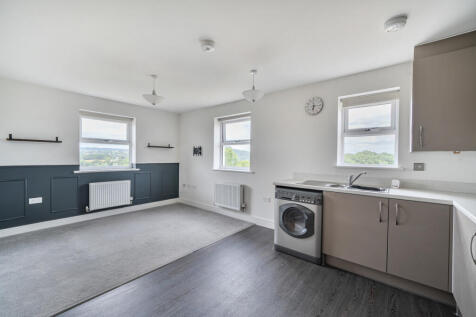 Living Area/Kitchen