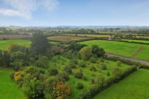 The Orchard