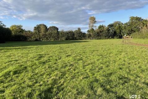 Lot 1