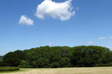 P1000709A.jpg