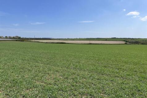 THE LAND