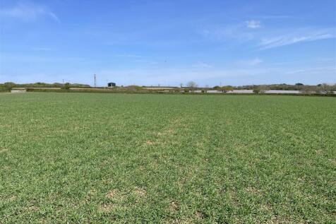 THE LAND