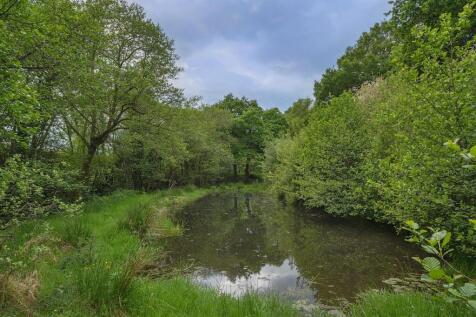 Lot 2 pond.jpg