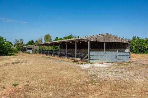 LOT 1
