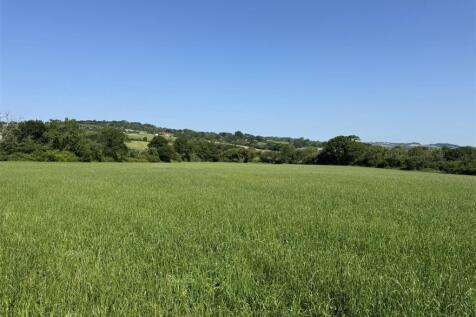 IMG_3406.jpeg