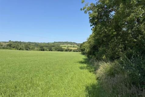 IMG_3412.jpeg