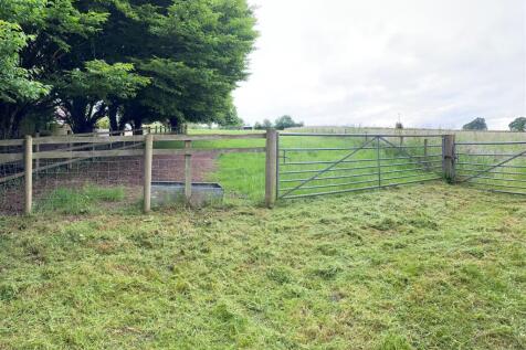 Paddock at Aller.jpg