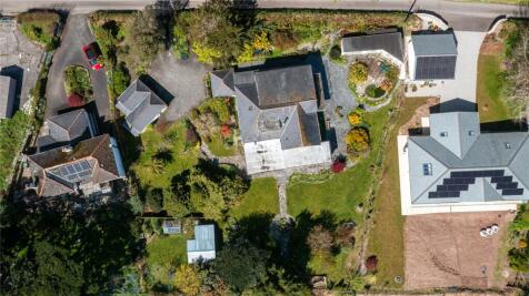 Birds Eye