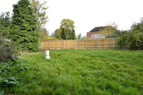 Back Garden