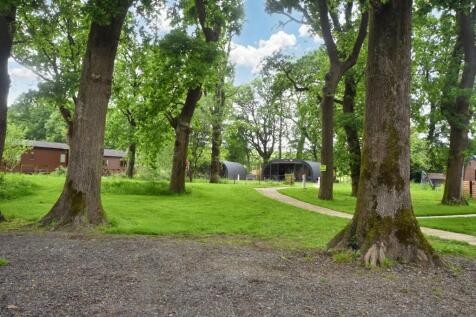 Grounds