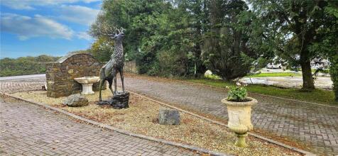 Grounds