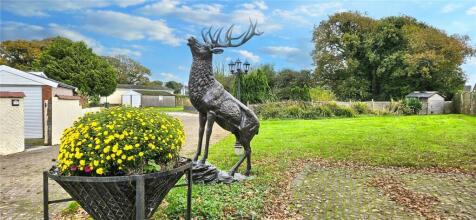 Grounds