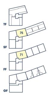 Site Layout