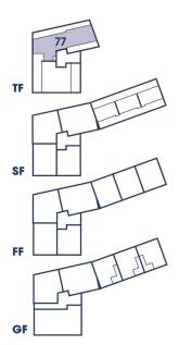 Site Layout