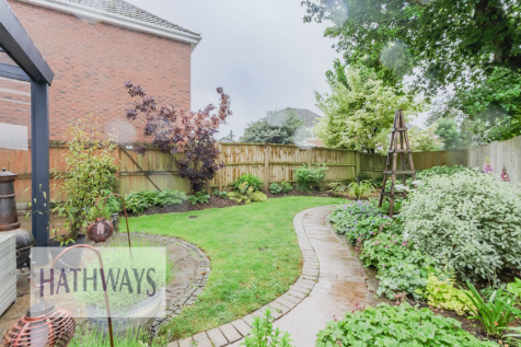 Property Image 49