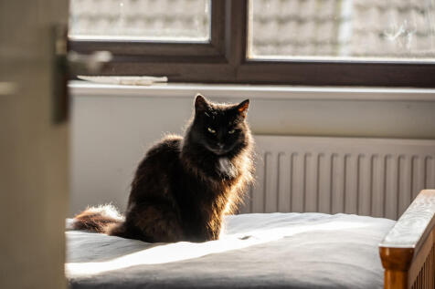 1382242-15-6915f6...