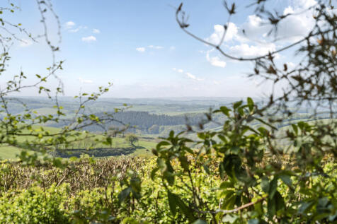Stunning Views