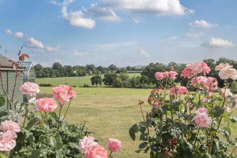 Garden &amp; View