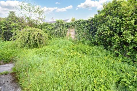Side Garden