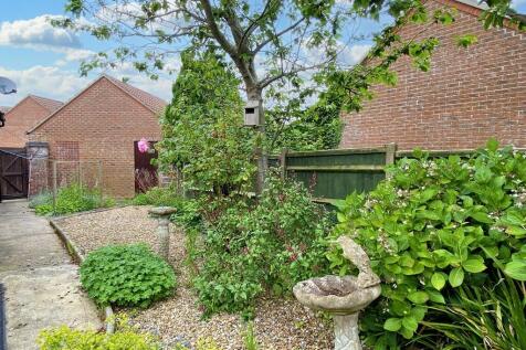 Left side garden