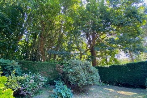 Rear of garden