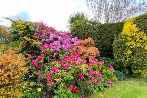 Attractive garden