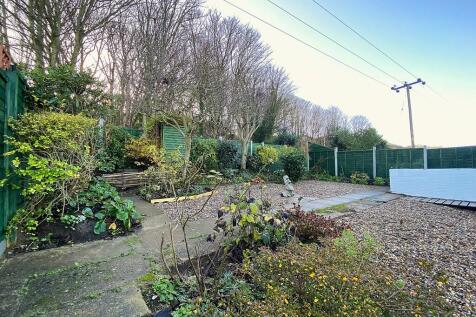 Rear garden 2