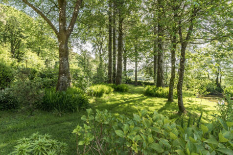 Woodland/Garden