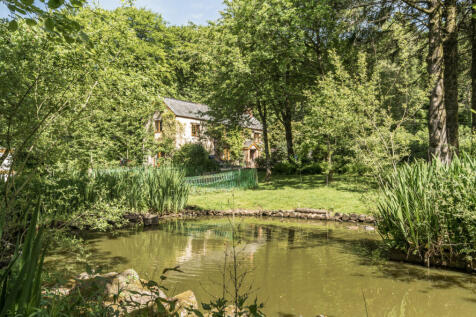 Duck Pond