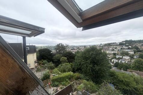 Velux Windows