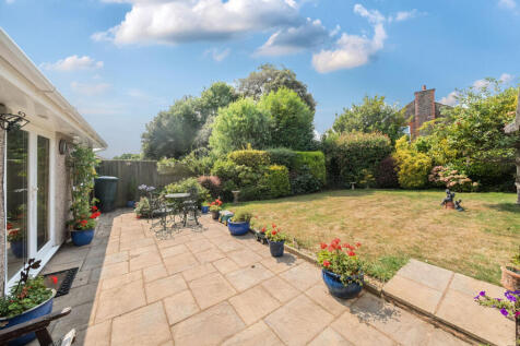 Patioed Area Rear