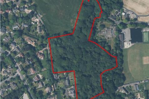 woods 3-images-0.jpg