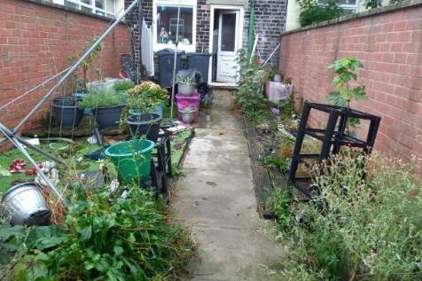 IMG-20250901-WA0011_cleanup.jpg