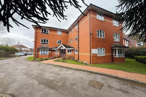 Puzzle tree court pic 2.jpg