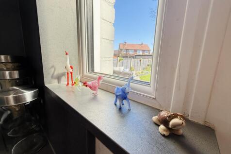 IMG_5044.jpeg