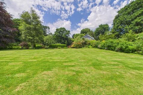 Lawn